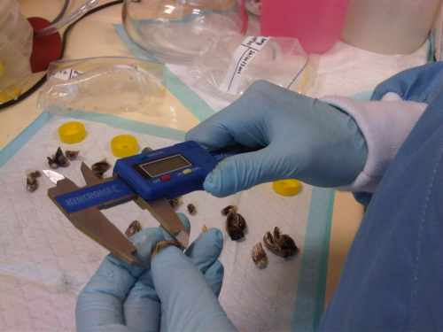 IMG00473-20111026-1833