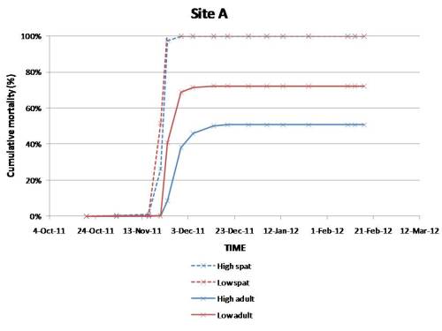 Cumulative mortality in site A