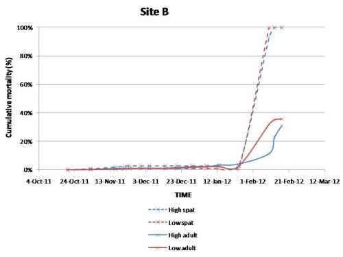 Cumulative mortality in site B