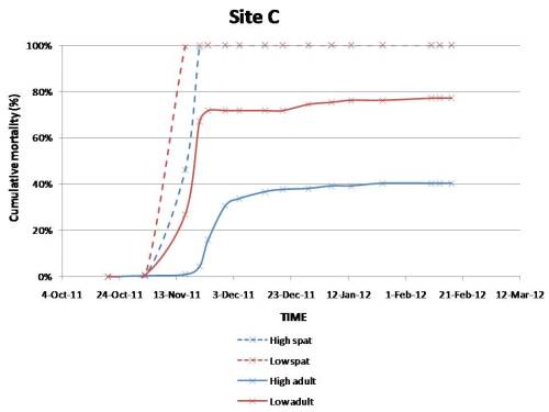Cumulative mortality in site C