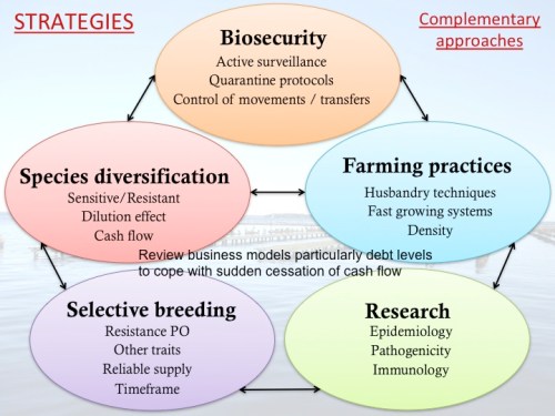Strategies for surviving POMS