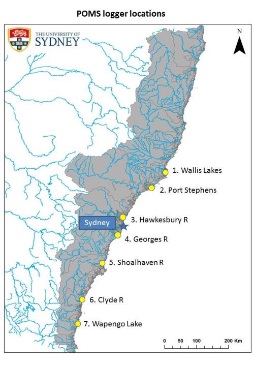 Locations of temperature data loggers on oyster leases in New South Wales